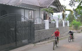 Rumah Palem